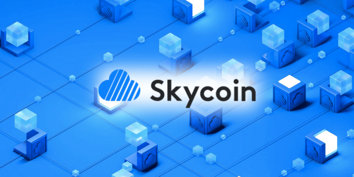 skycoin skywire