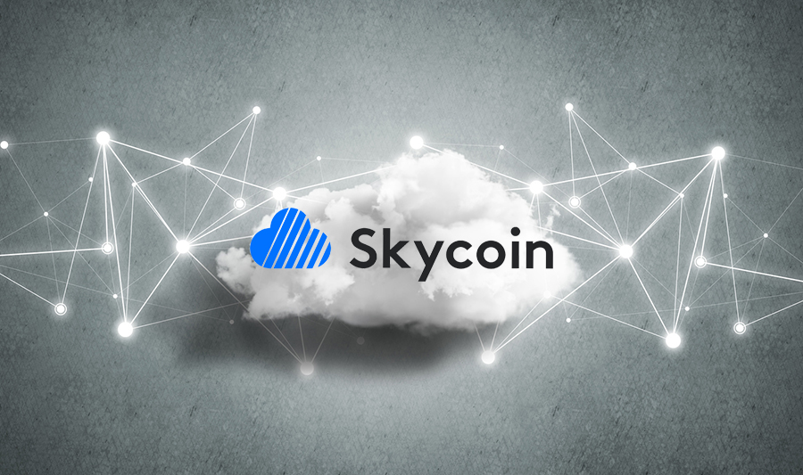 Skycoin cryptocurrency having some issues