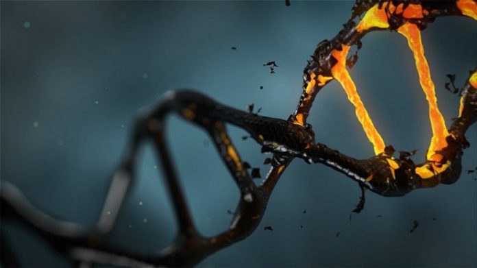 synthetic DNA