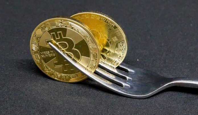 bitcoin cash fork what to do