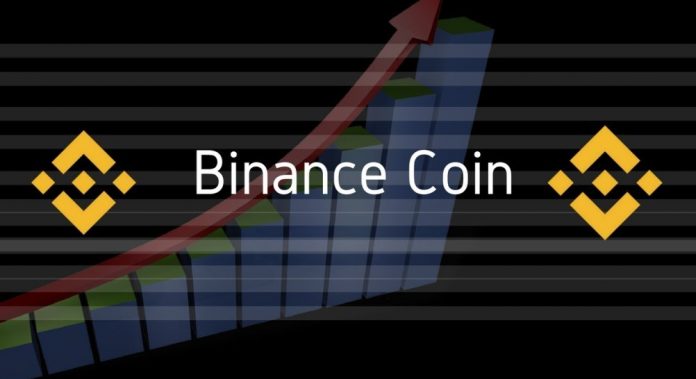 binance coin value