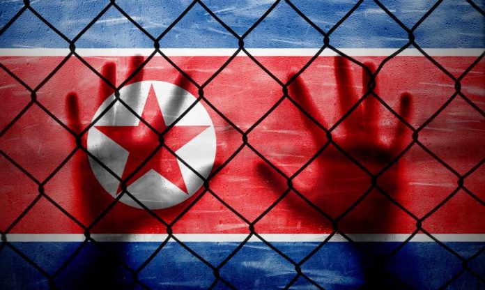 North Korea dissidents crypto