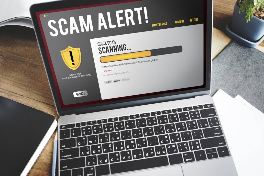 Scatter: another scam website has arrived
