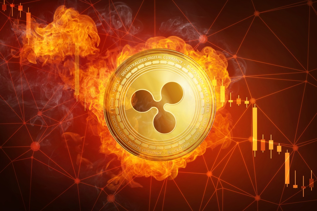 The price of Ripple drops: XRP -50%