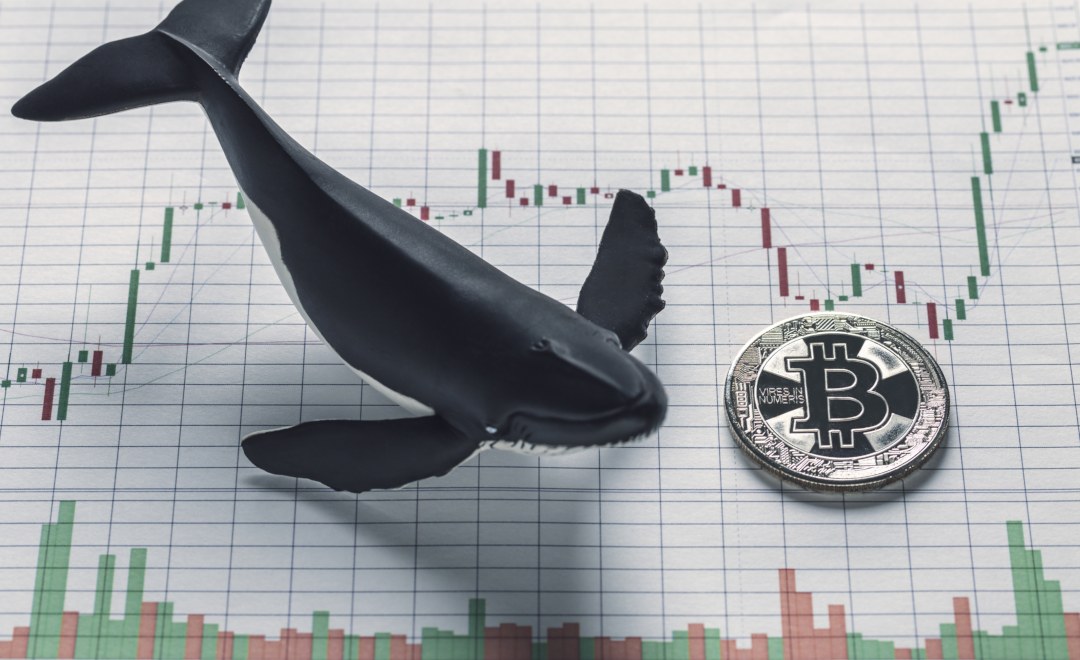 Whale Alert will provide support to Binance