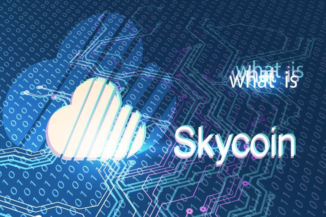 What is Skycoin (SKY) and how it works: a decentralised network
