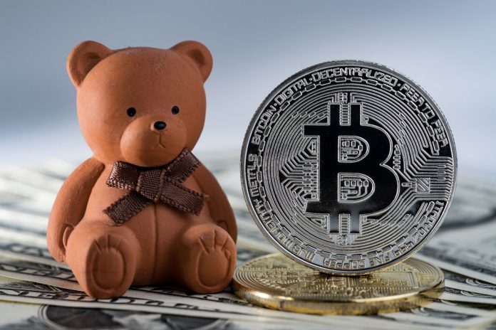 bitcoin 2018 real bear market