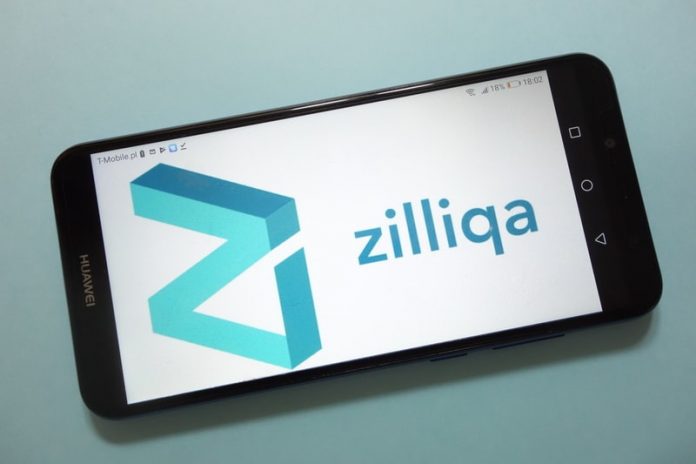 zilliqa launches zilhive incubation programme