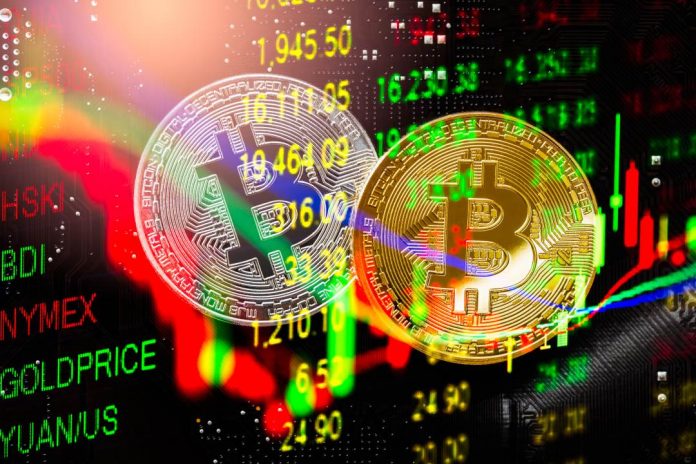 crypto market this week