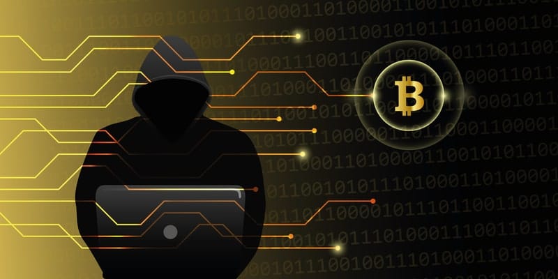 What are the most and least common crypto crime cases?