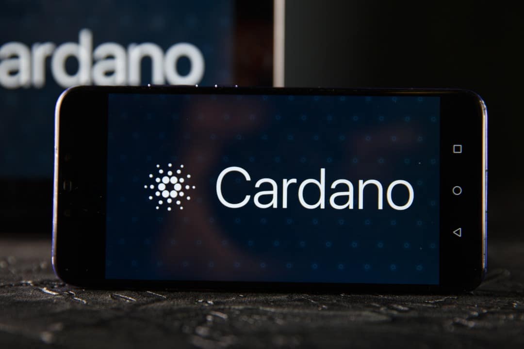 The Cardano snapshot will take place today