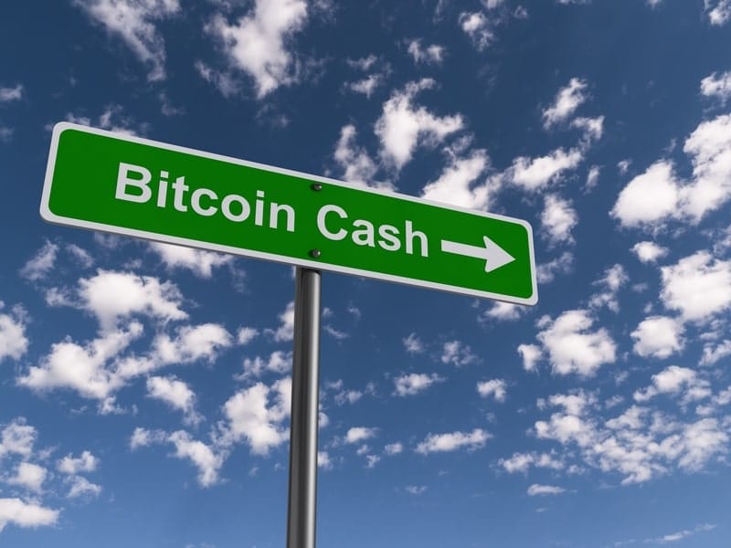 Lead: the SLP token rewarding Bitcoin Cash (BCH) supporters
