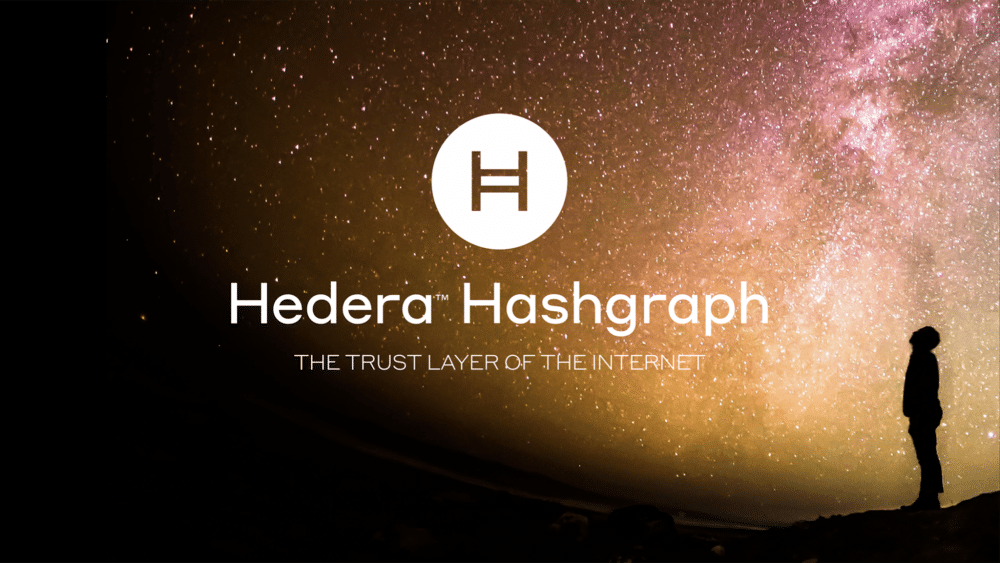 Hedera Hashgraph: an update on the project