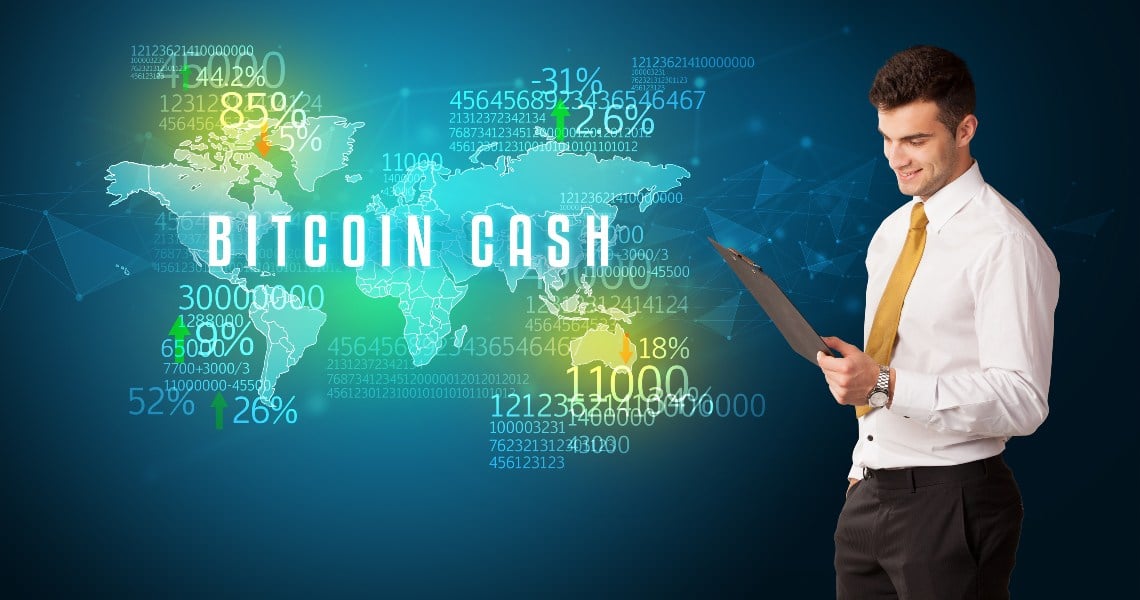 Bitcoin Cash: the SLP Foundation is born