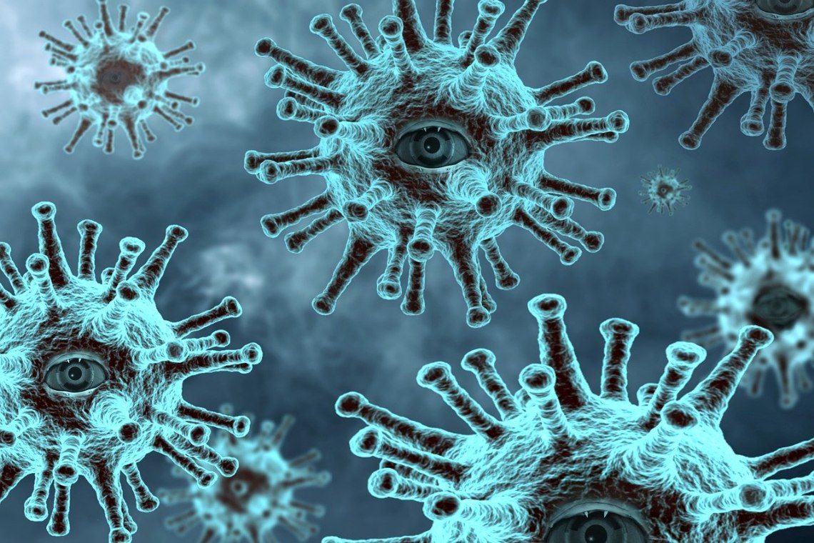 Coronacoin: speculation on victims or digital fight against Coronavirus?