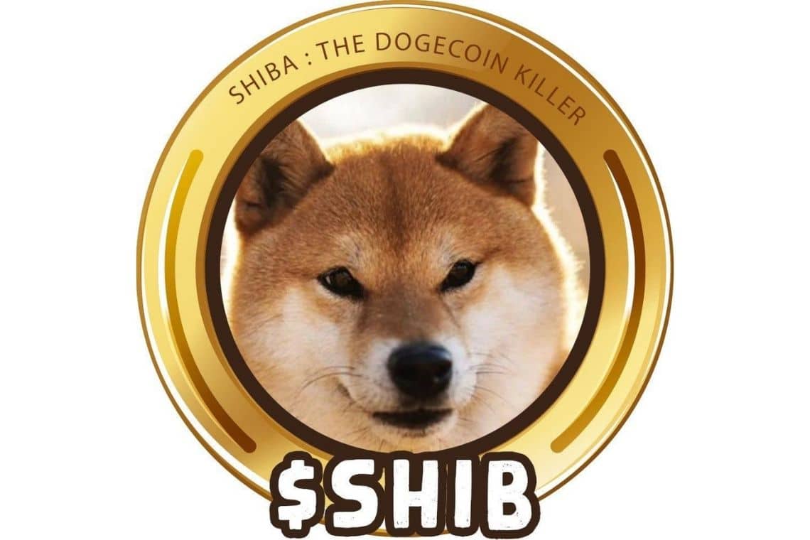 Shiba Inu on Coinbase Pro and the price flies