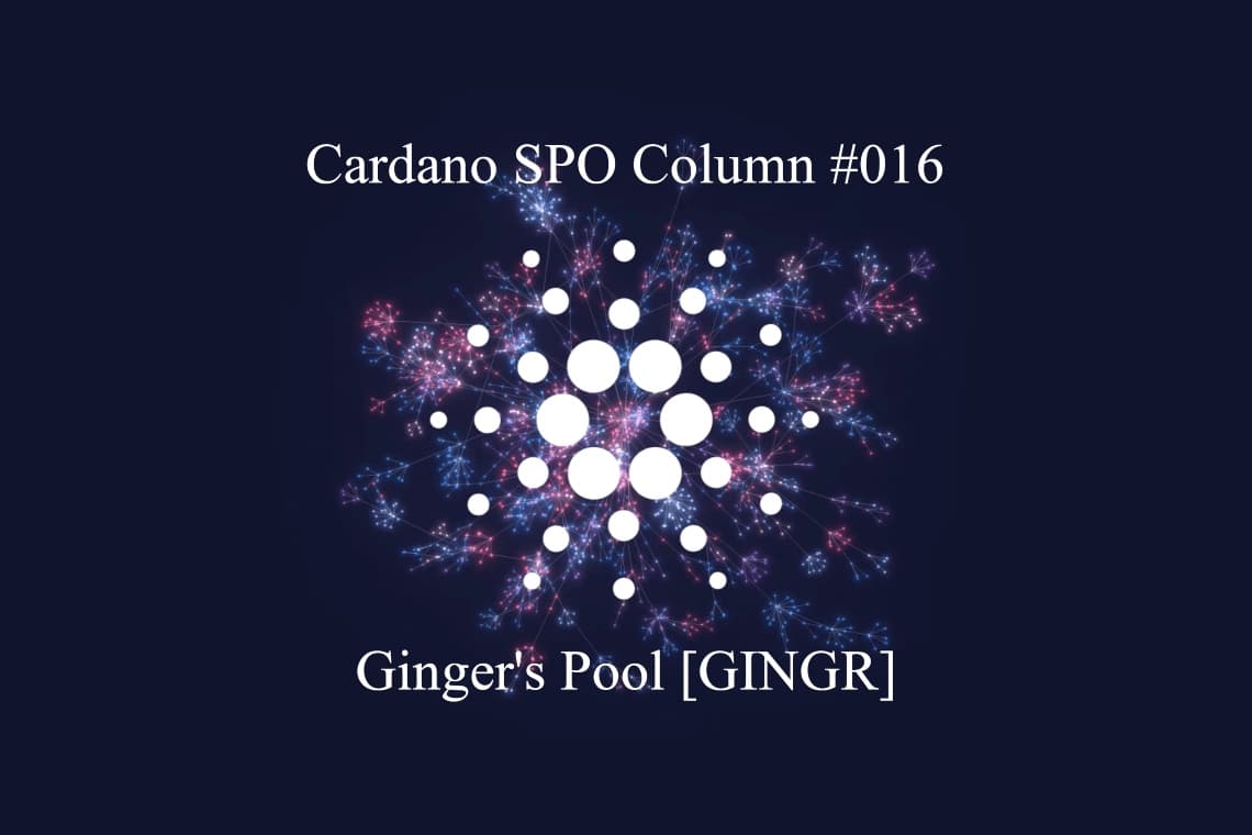 Cardano SPO Column: Ginger’s Pool [GINGR]