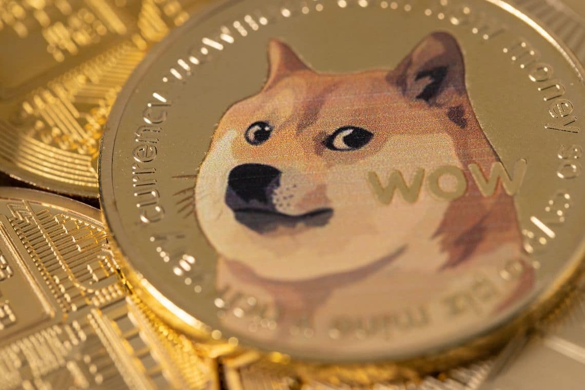 Dogecoin and PAWS Chicago: cryptocurrency donations to help animals