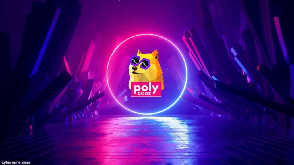 “Back to the Future” with Polydoge
