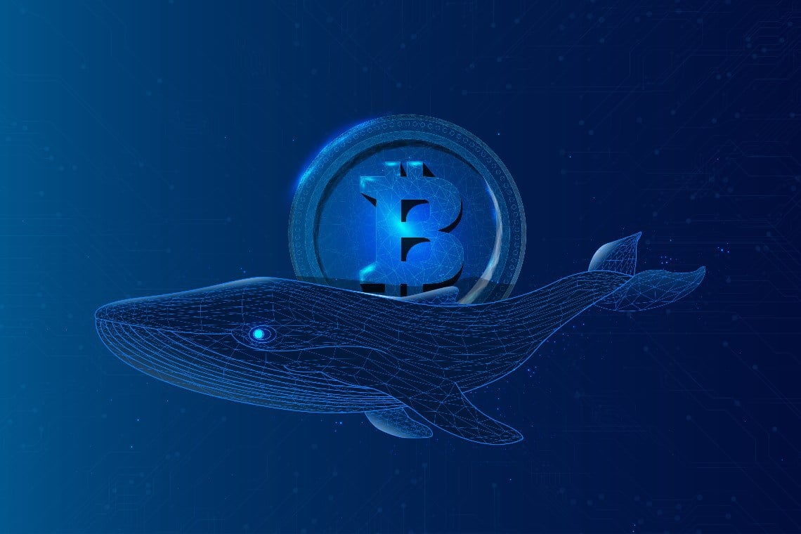 Bitcoin whales 2022