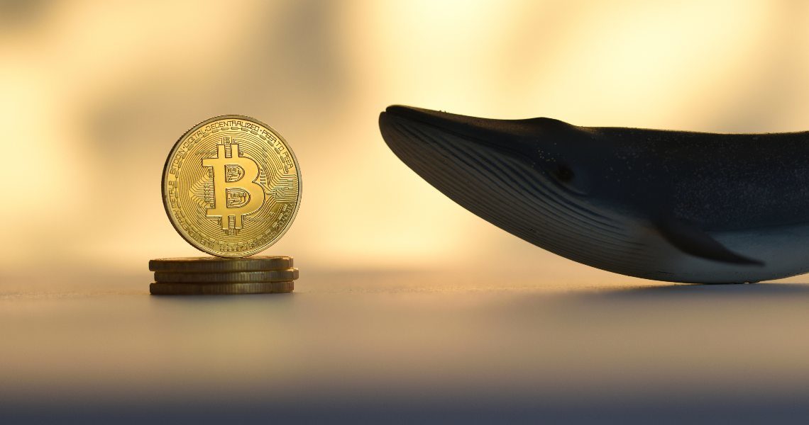 Whale Alert: 407 Bitcoin moved after 8 years of inactivity