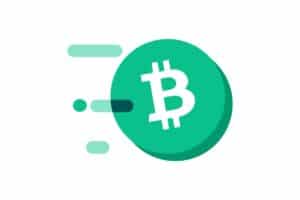 What is Bitcoin Cash and what are its features