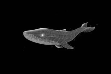 An XRP whale transfers 20 trillion Shiba Inu
