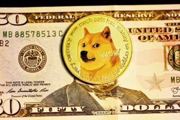 Dogecoin: 380% increase in traders thanks to Elon Musk