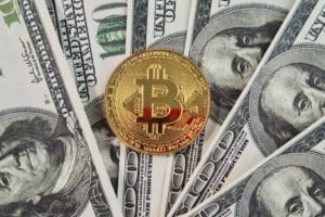 The wait is over: Fidelity opens trading accounts for the Bitcoin crypto