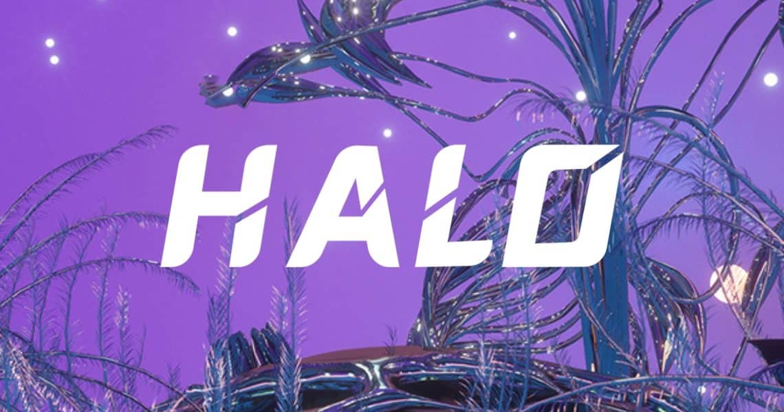 Boom for the Initial Coin Offering (ICO) of Halo