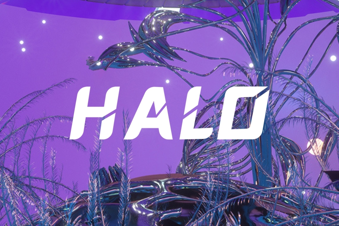 halo ico initial coin offering