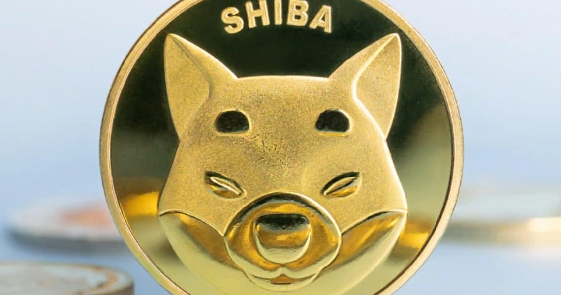 Shiba Inu ready for big surge: the meme coin is among the 14 crypto assets by market cap