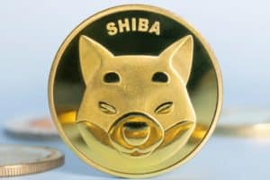 Shiba Inu ready for big surge: the meme coin is among the 14 crypto assets by market cap