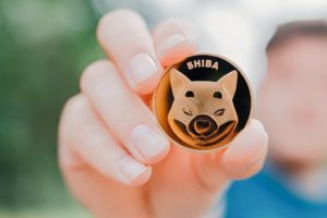 Shiba Inu crypto forecasting: is it time to buy?