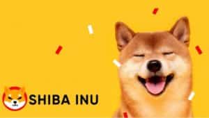 Stacks (STX) Whales Deep Dive Into Shiba Inu (SHIB) and HedgeUp (HDUP) After Explosive Growth In April