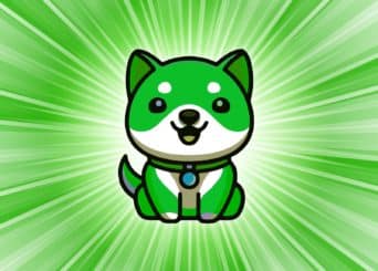 Shiba Inu receives good news about Shibarium latest update, Tradecurve to launch a trading academy for newbies