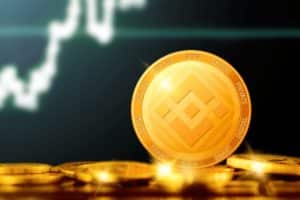 Binance Coin (BNB): price of the crypto dumps -25% in the past 7 days