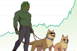 PEPE leads bull run of meme crypto assets: price flies +72%