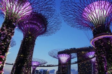 Singapore declares stop to staking and crypto lending