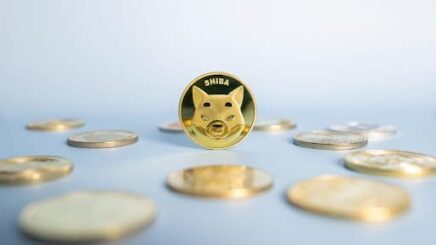 Shiba Inu Price Prediction Plus Alternative Memecoins To Watch