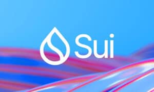 Only 7 months from the network’s launch, Sui is bridging more USDC liquidity than multiple native chains