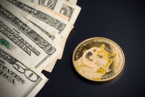 Innovating Beyond Avalanche (AVAX), Pushd (PUSHD) is Advancing! Could it challenge Dogecoin (DOGE) in Q1?