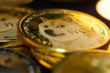 The meme coin fever is back: Bonk and Dogecoin among the best cryptocurrencies of the week