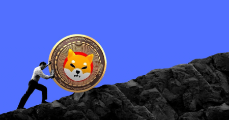 DeeStream (DST) Draws Unprecedented Support from Bitcoin Cash (BCH) and Shiba Inu (SHIB) Circles: Presale Success Stories in the Making
