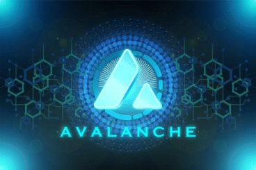 Avalanche (AVAX) and Chainlink (LINK) Investors Gather for Koala Coin (KLC) Anticipating Its Soft Impact on the Crypto World
