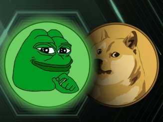 Koala Coin (KLC) Presale Hits New Highs Challenging Dogecoin (DOGE) and Pepe (PEPE) Market Share
