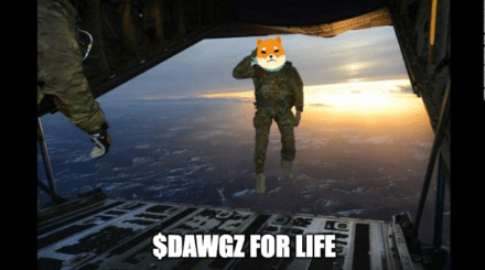 New Base Dawgz Meme Coin Raises $1.75 Million In Presale – Best Meme Coin To Buy The Dip?
