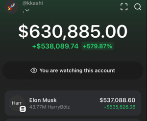 Trader Turns $443 into $636,000 With A New Elon Musk Meme Coin, Best Wallet Can Find The Next 100x Crypto