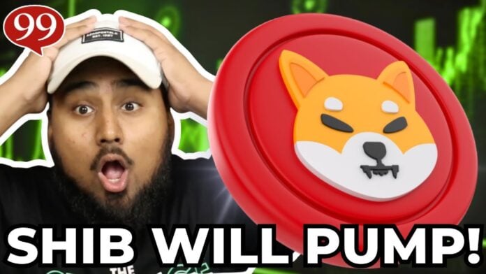 Shiba Inu Bullish Predictions Fueled by Over 8000% Burn Rate Surge