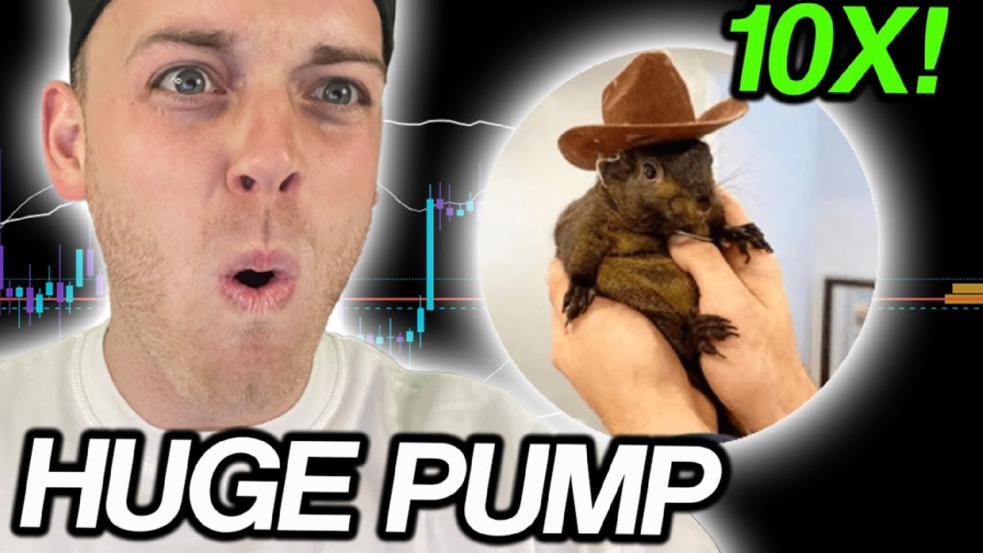 $PNUT Rally Soars 91% in a Week: Is a  Billion Market Cap Next?
